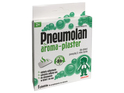 Pneumolan aroma Plaster 5 szt.