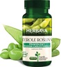 HERBAYA Sterole roślinne x 60 kaps